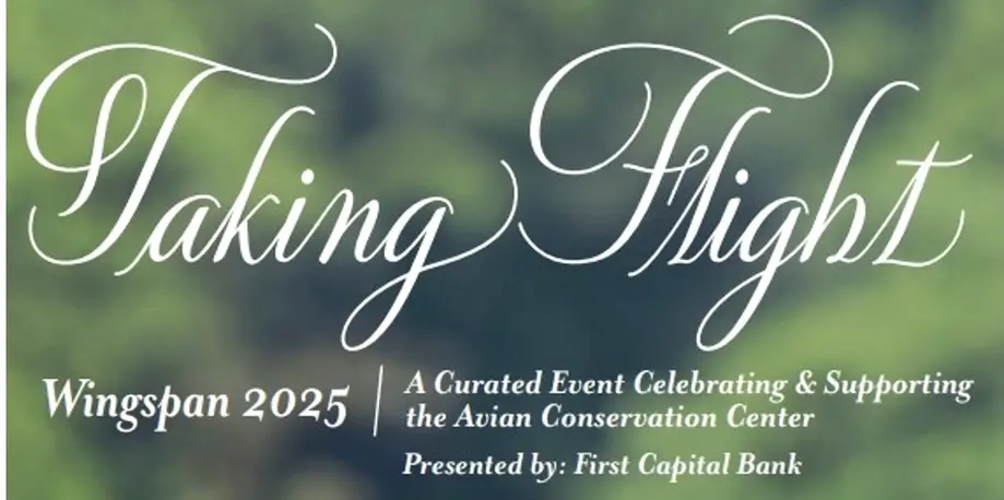 Wingspan: Annual Fall Fundraiser