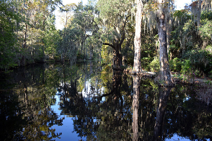 Magnolia Plantation in Charleston, SC