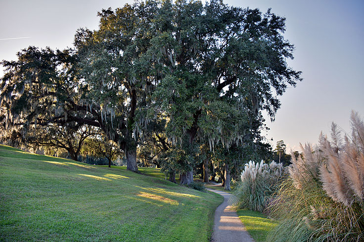 A walking path at Middleton Place Plantation in Charleston, SC