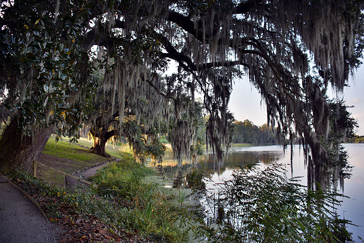 Waterside walking path at Middleton Place Plantation in Charleston, SC