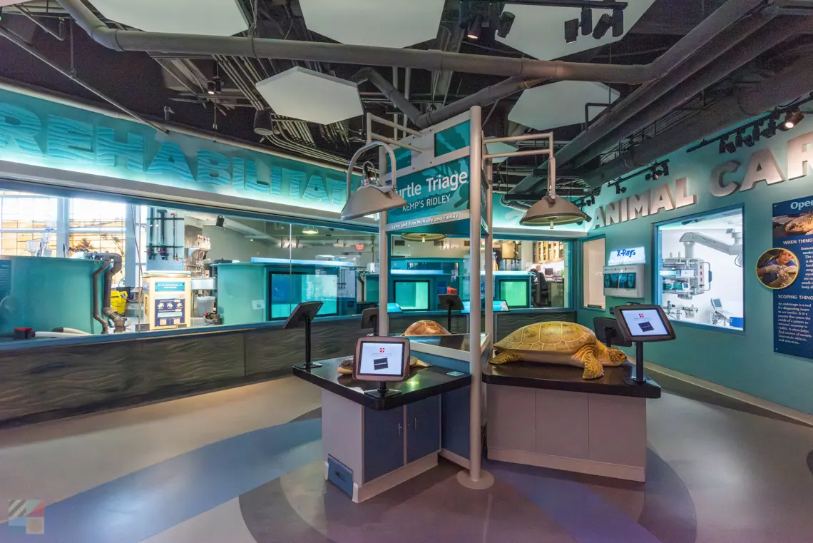 South Carolina Aquarium at Charleston