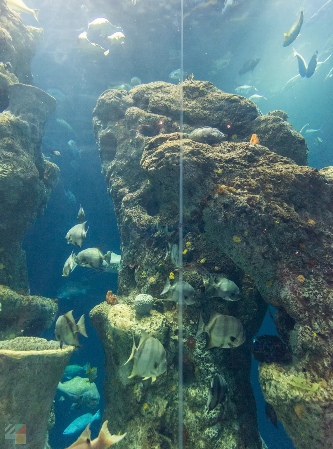 South Carolina Aquarium at Charleston