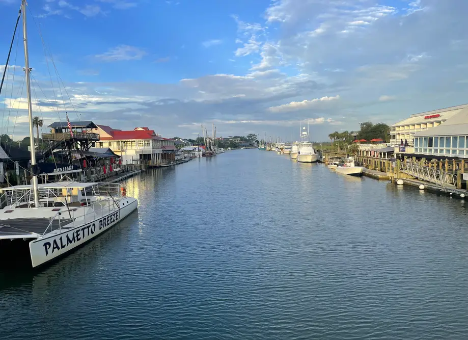 Walking Eco Tour Shem Creek