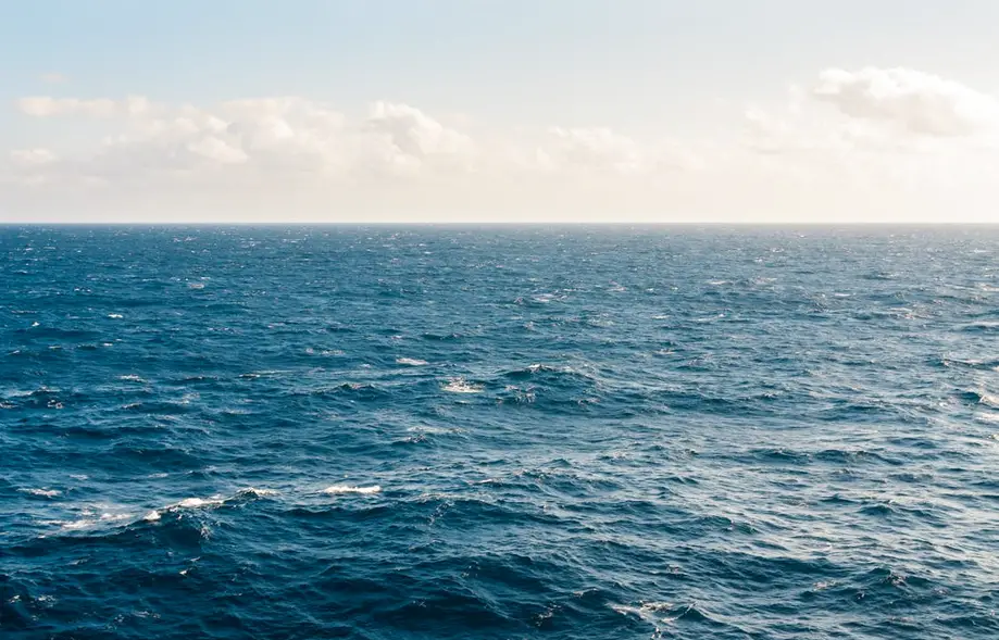 Charleston Harbor Cruise